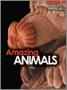 2004 Amazing Animals